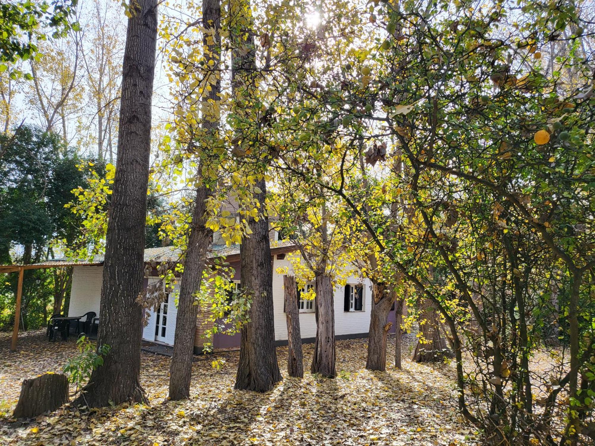 Babaji Holiday home *