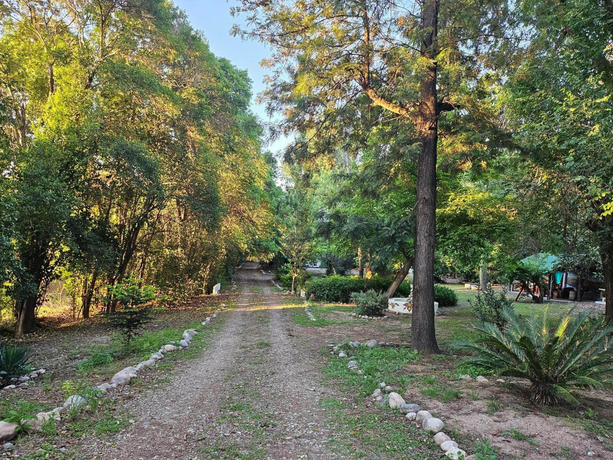 Babaji Holiday home *
